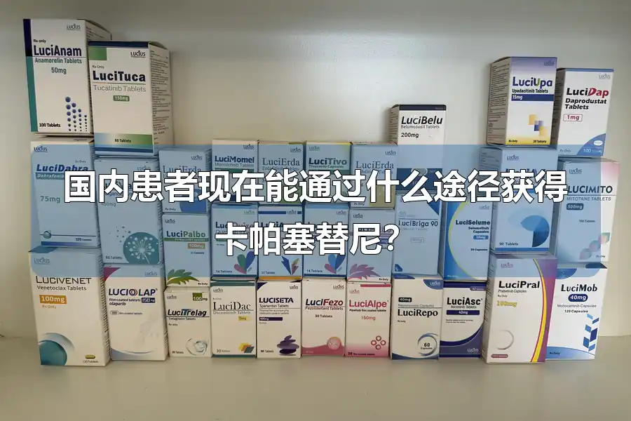 国内患者现在能通过什么途径获得卡帕塞替尼?